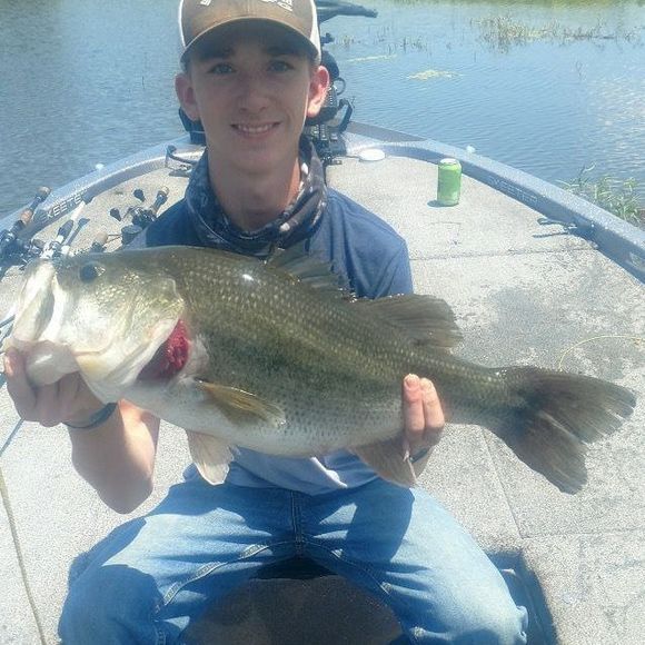 Meet your Posher, Kaleb - Picture 1 of 1